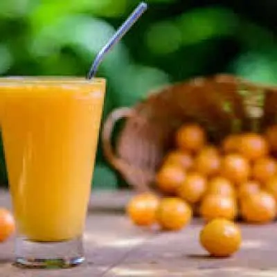 Imagem do item Suco de Cajá